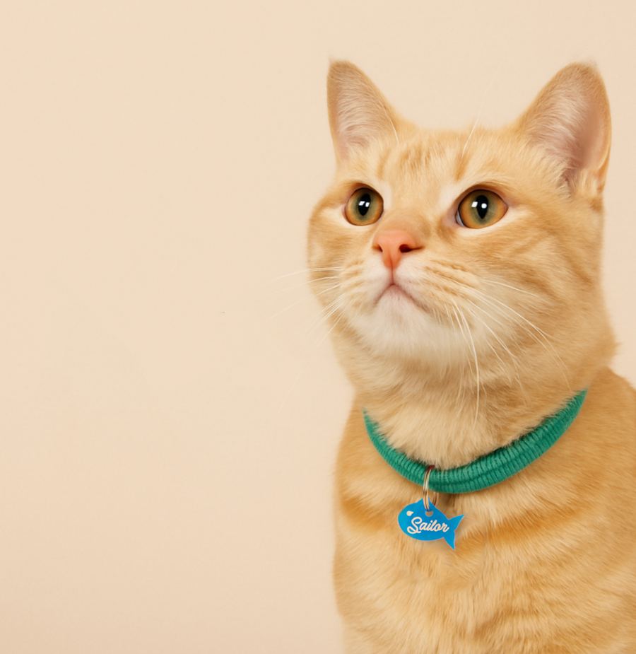 From Sassy to Sweet: Cat Tags That Match the Vibe