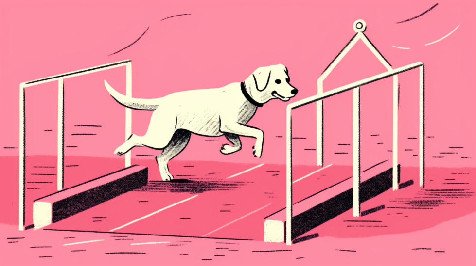 Advanced Puppy Training: Unleashing Your Pup's Full Potential