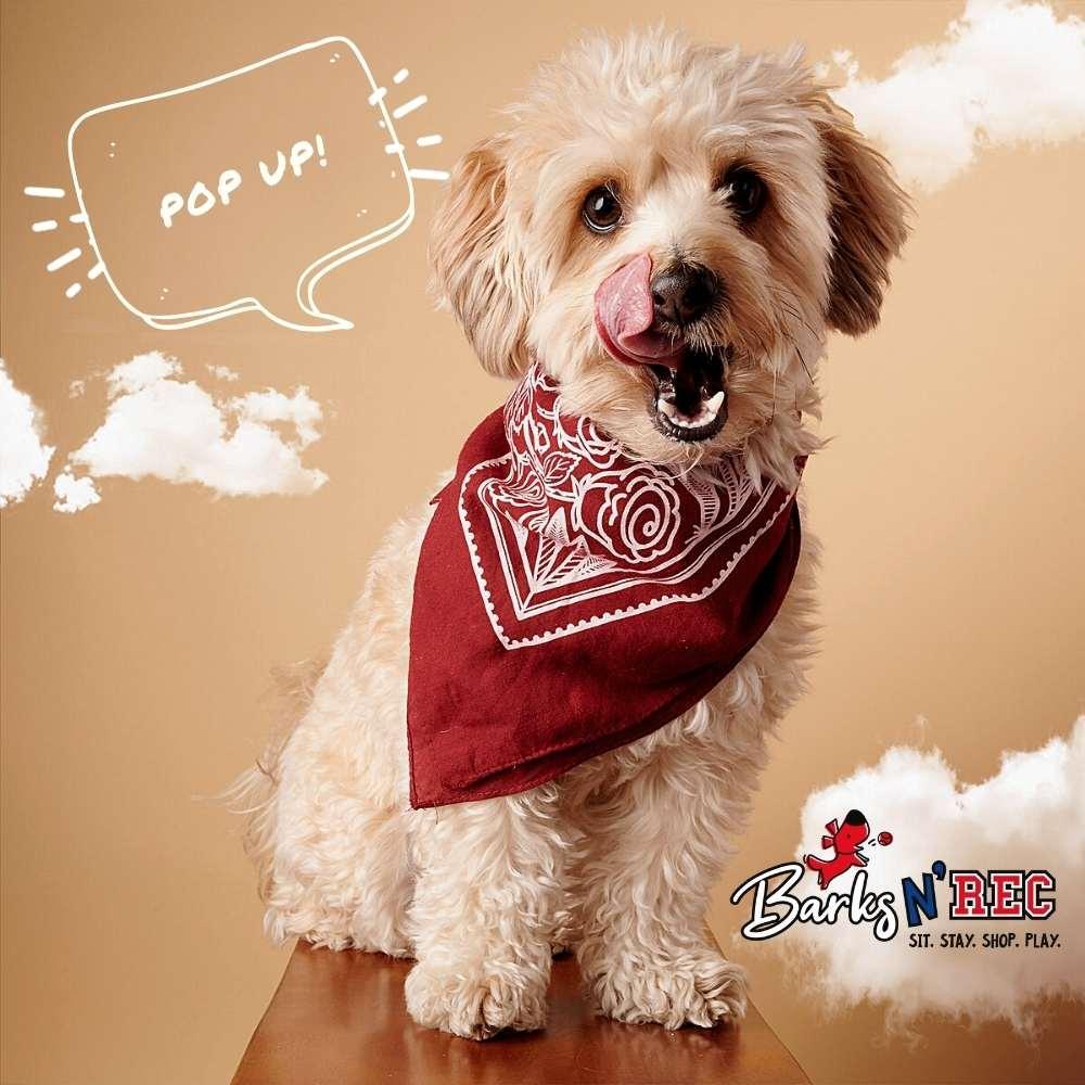 Fall back in love with these Valentine’s day ideas