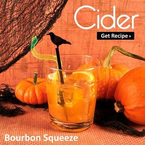 The Best Fall Cider Bourbon Squeeze Recipe - emandmestudio