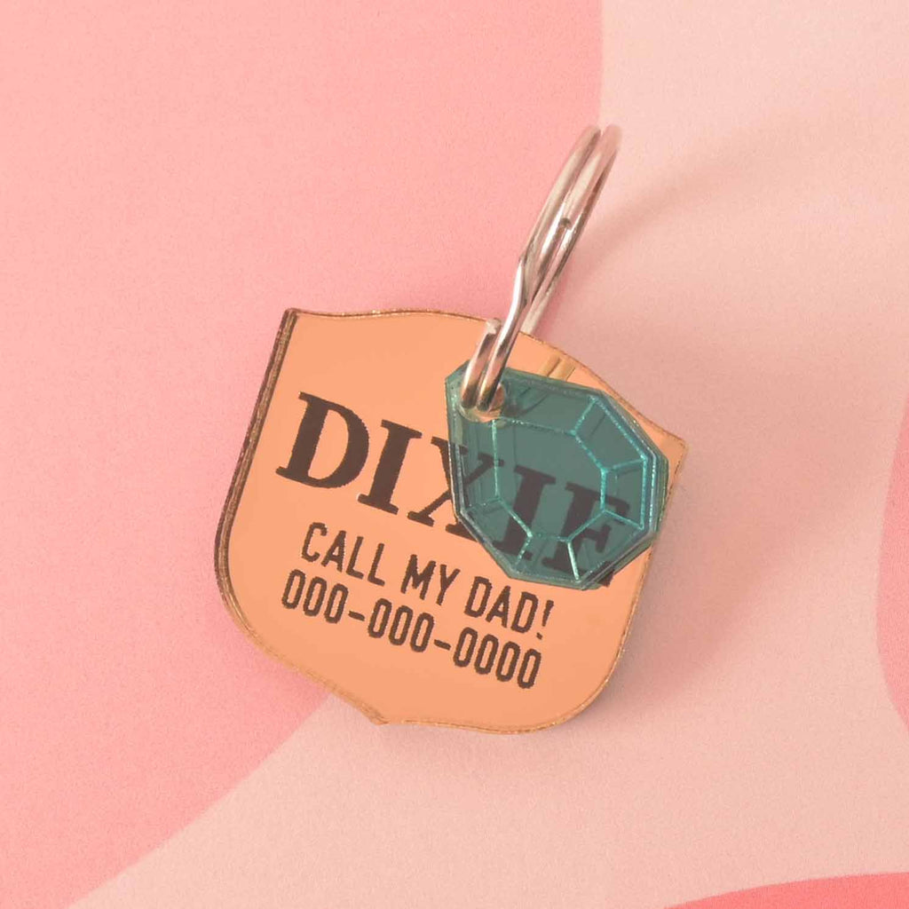 A personalized gold shield-shaped pet tag with the name "DIXIE" and a placeholder phone number. The tag has a small, translucent blue diamond charm attached. Both are connected to a silver ring, perfect for a collar, and are displayed on a light pink background with a wavy design.