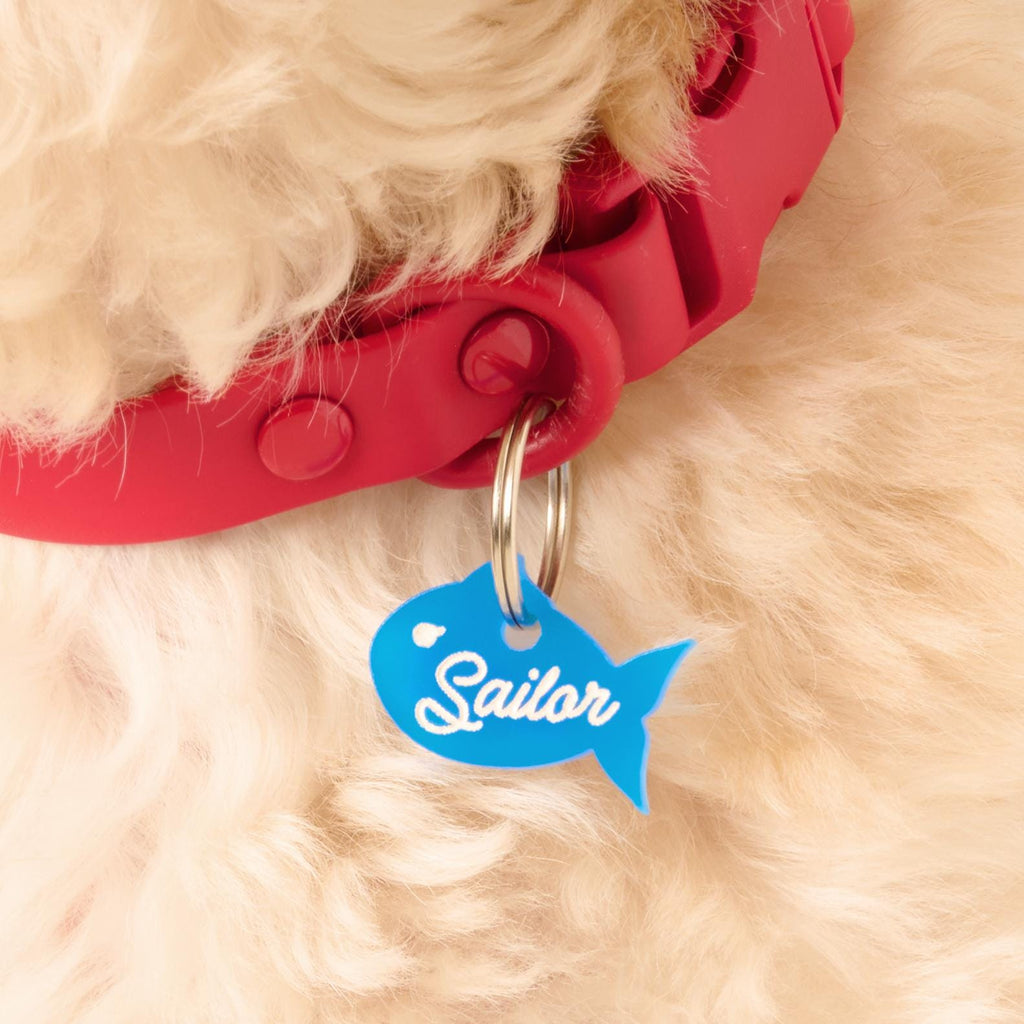Close-up of blue fish-shaped pet ID tag with “Sailor” engraving attached to a red dog collar, lightweight personalized Tiny Tag for dogs and cats.