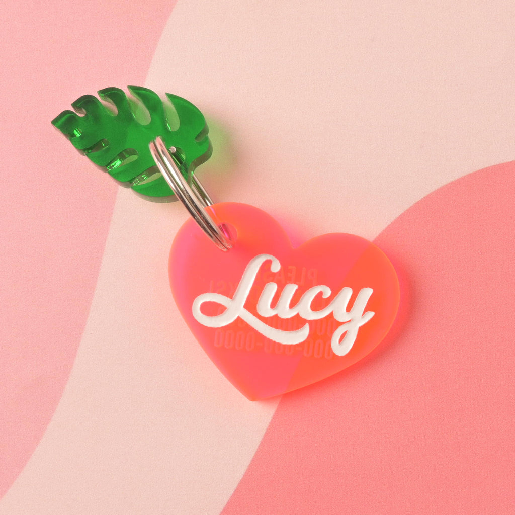 Pink acrylic heart-shaped pet ID tag with the name Lucy in white script, paired with a green tropical leaf charm, displayed on a pink and peach abstract background