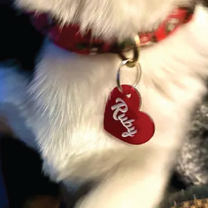Red heart-shaped pet tag with 'Ruby' on a white fur background