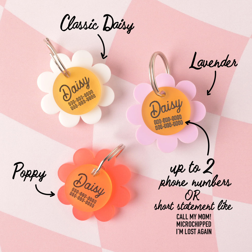Three daisy-shaped acrylic pet ID tags labeled Classic Daisy (white petals), Lavender (light purple petals), and Poppy (reddish-orange petals), each with a yellow center engraved with the name Daisy and contact info; note indicates space for up to two phone numbers or a short message like “Call My Mom” or “Microchipped”