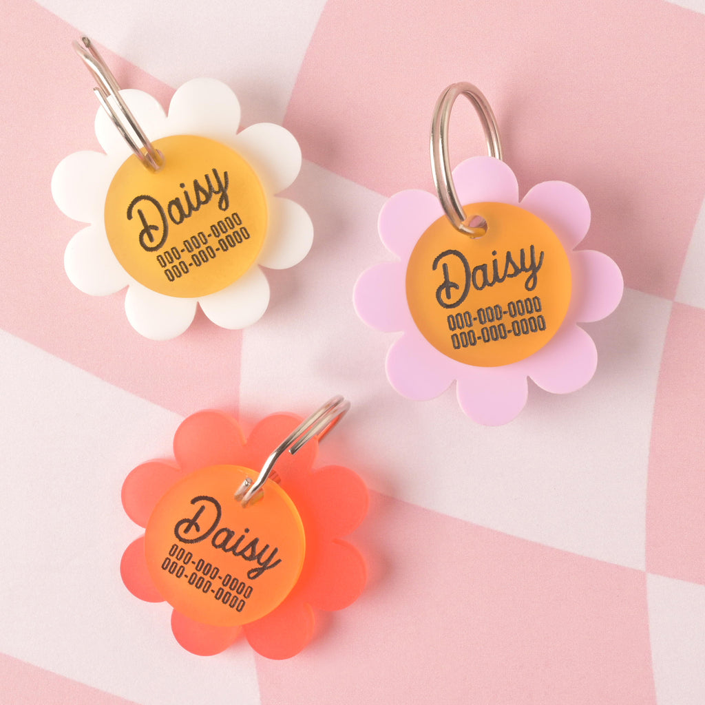 Trio of flower-shaped acrylic pet ID tags labeled "Daisy" with engraved contact numbers, featuring white (Classic Daisy), pink-purple (Lavender), and orange-red (Poppy) petals, displayed on a pink checkered background