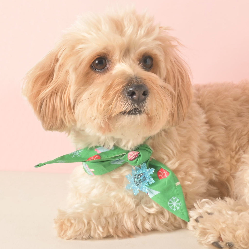 Cute dog wearing a festive green holiday bandana with Christmas trees and snowflakes, a perfect holiday accessory for pets.