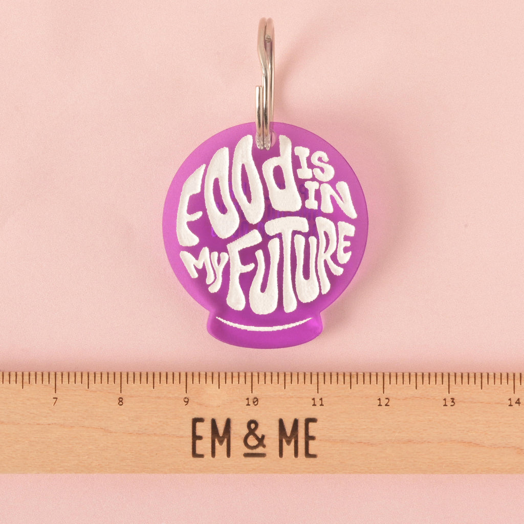 A purple orb-shaped pet tag that says "FOOD IS IN MY FUTURE" in a white groovy font. The tag is attached to a silver ring. A wooden ruler with the "EM & ME" logo is placed below the tag to show its size. The items are displayed on a solid pink background.