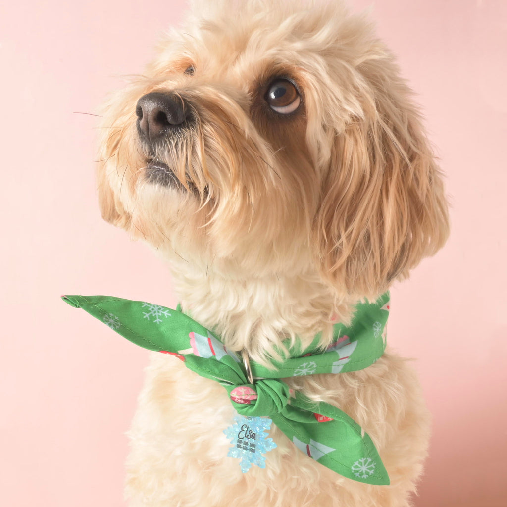 Adorable dog wearing a green Christmas holiday bandana decorated with festive trees and snowflakes, a cute seasonal pet accessory.