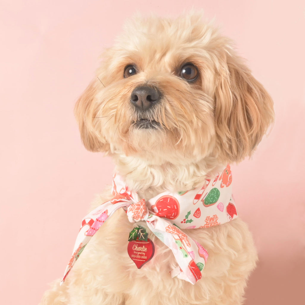 Adorable small dog wearing a Christmas bandana with gingerbread cookies, candy canes, snowflakes, and ornaments on white holiday fabric.