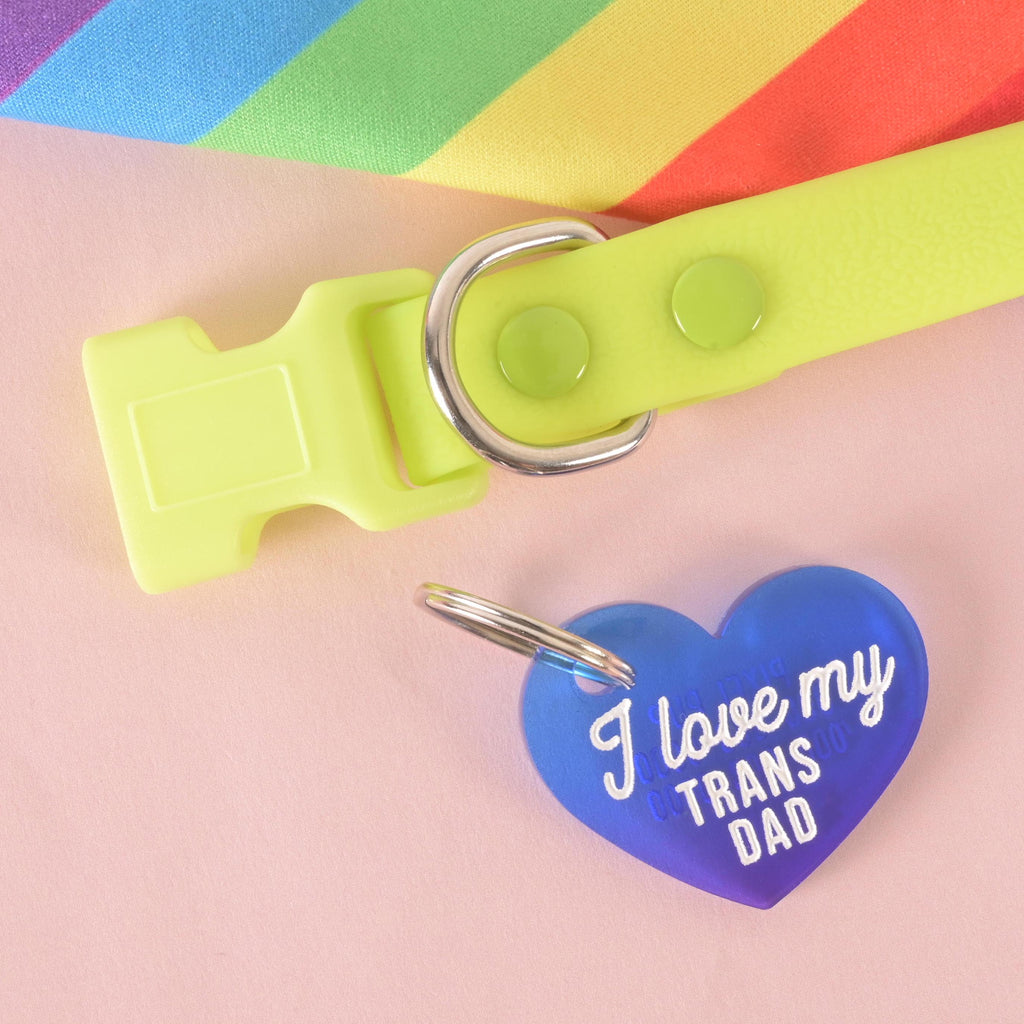 Blue heart-shaped pet ID tag with white lettering that reads “I love my trans dad,” attached to a neon green collar with a rainbow strap in the background. LGBTQ+ pride accessory for dogs and cats.