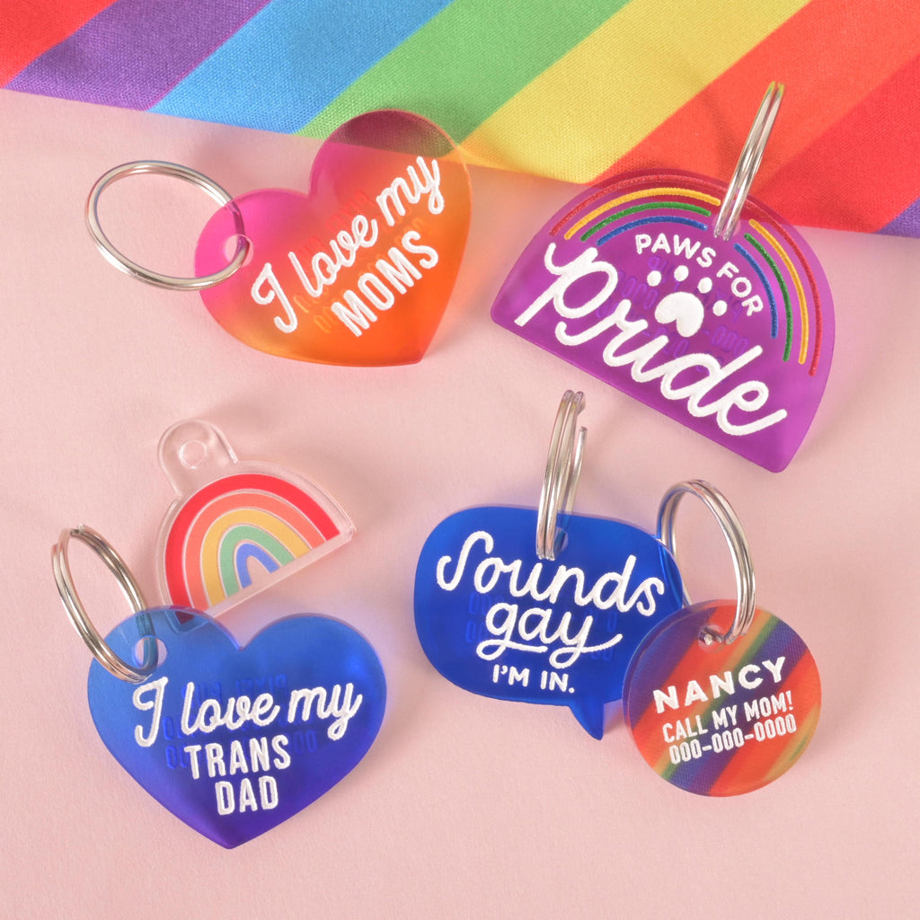 Group of colorful Pride pet tags including “I love my moms,” “I love my trans dad,” rainbow charm, “Sounds gay I’m in” tag, and “Paws for Pride” rainbow tag. Inclusive LGBTQ+ dog and cat ID tags for proud pet parents.