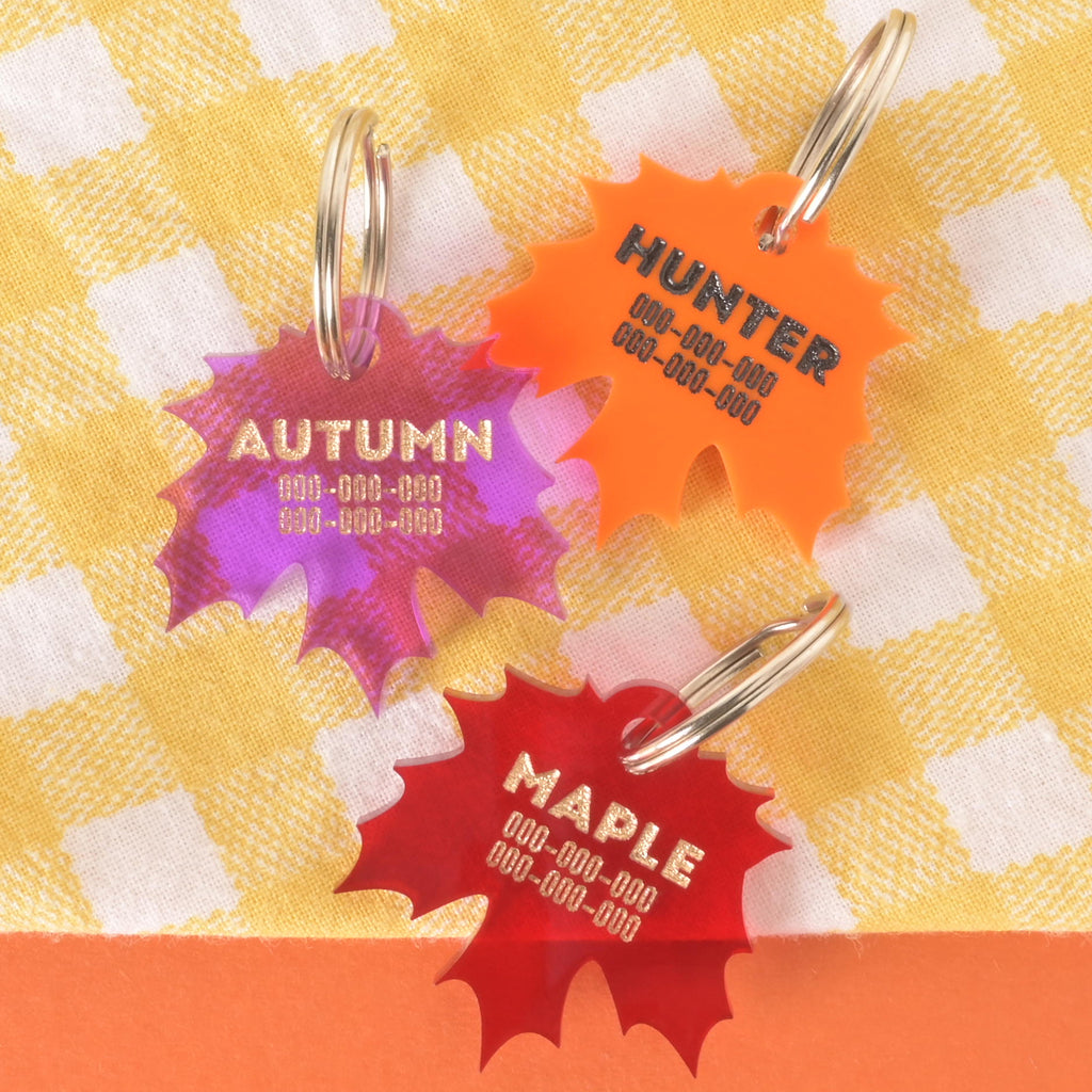 Personalized acrylic pet ID tags shaped like autumn leaves in purple, orange, and red, engraved with pet names Autumn, Hunter, and Maple along with phone numbers.