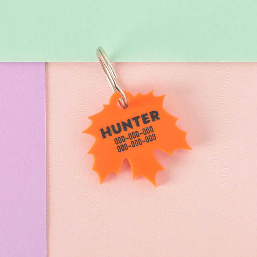 A personalized orange maple leaf-shaped pet tag with the name "HUNTER" and a placeholder phone number on it. The tag is attached to a silver ring for a collar and is displayed on a light pink, purple, and mint green background.