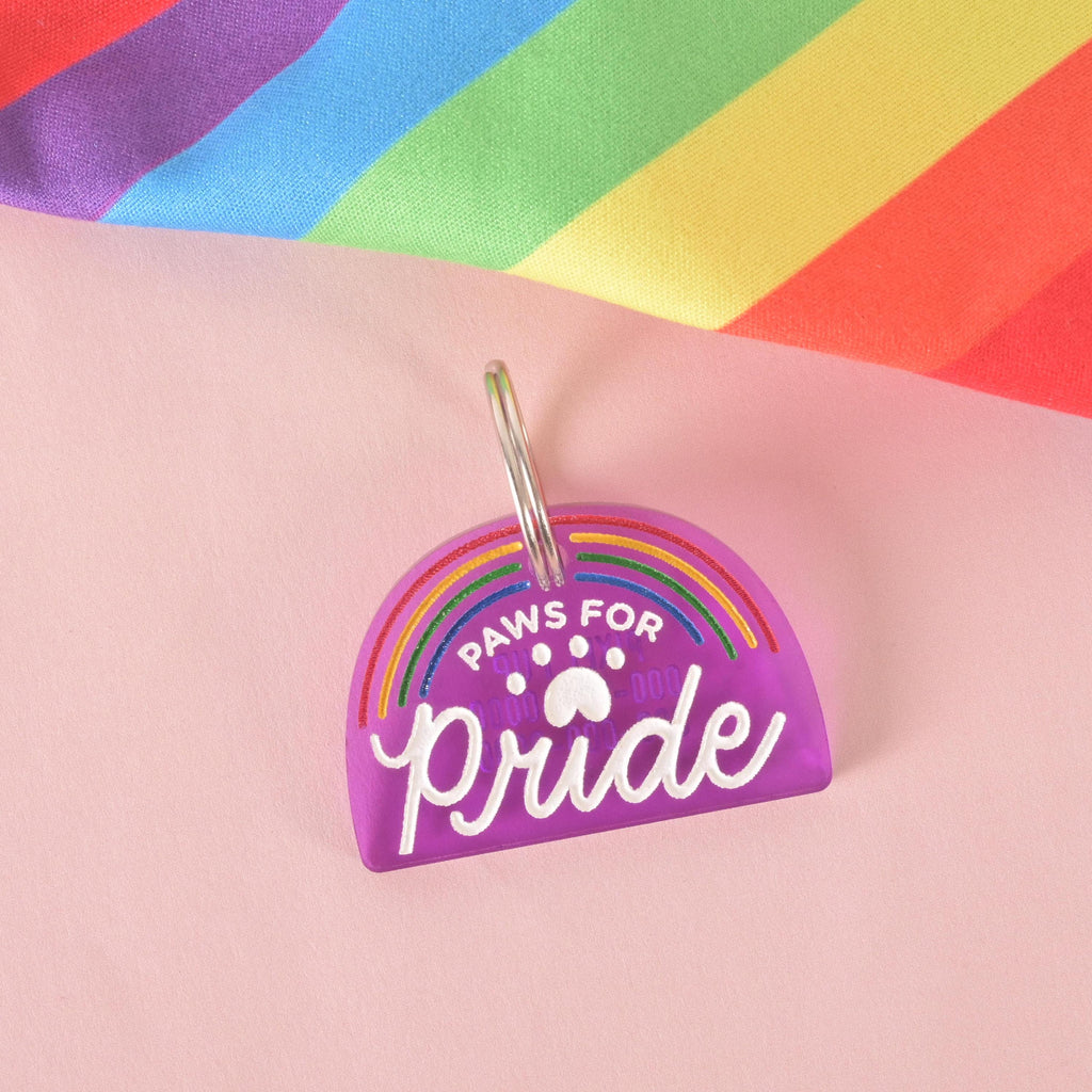 Purple pet tag with rainbow design and text “Paws for Pride,” photographed with a rainbow flag background. LGBTQ+ Pride dog and cat ID tag for celebrating inclusivity.