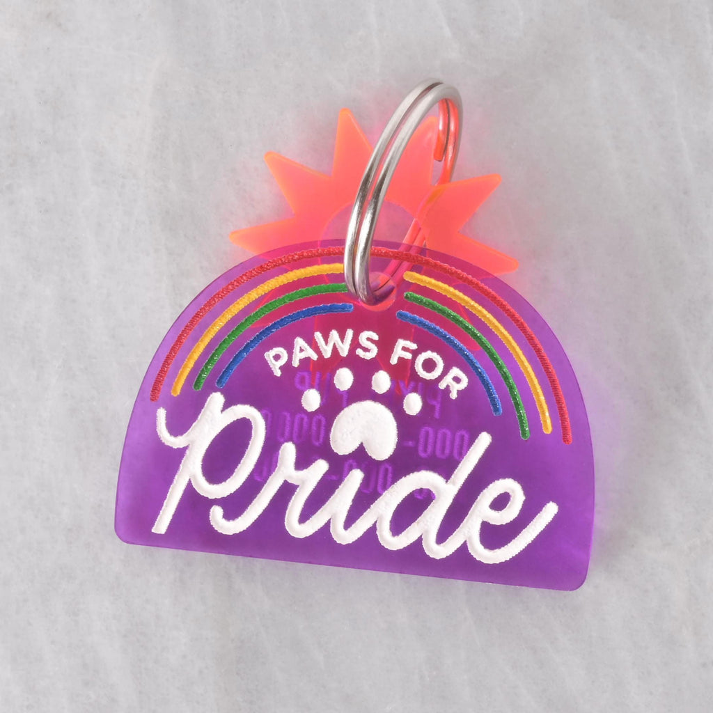 Purple acrylic pet tag with rainbow design and the words “Paws for Pride,” attached to a silver keyring with an orange acrylic sun charm. LGBTQ+ Pride pet accessory.