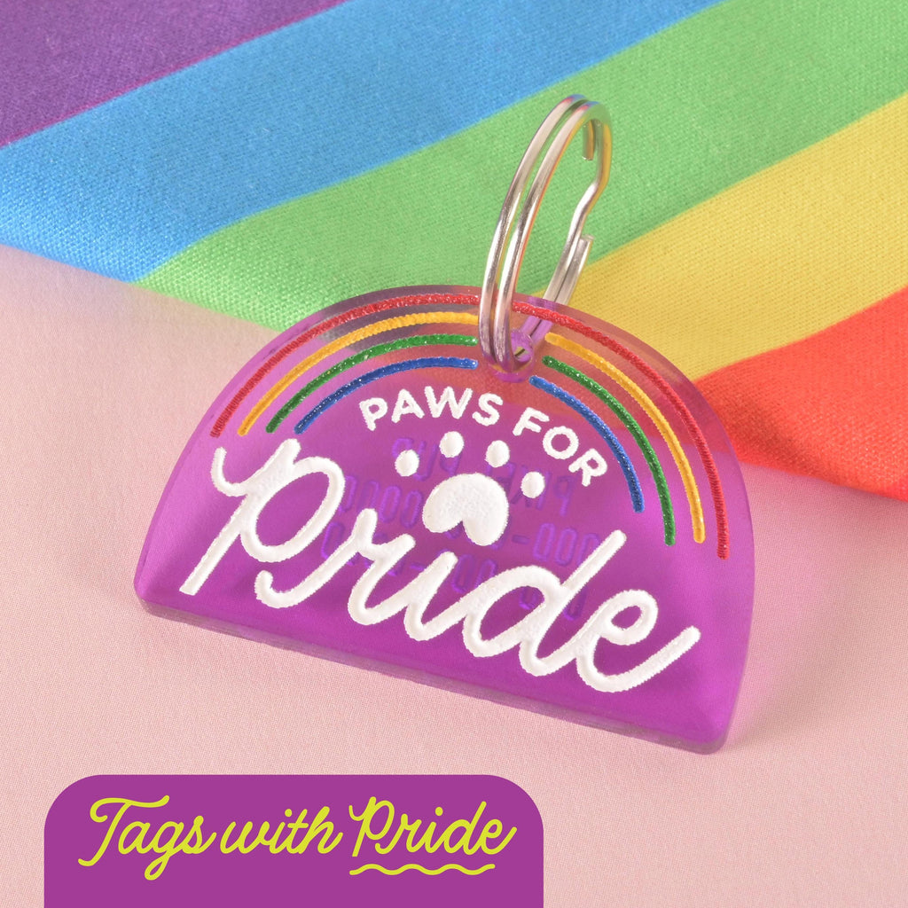 Purple acrylic pet ID tag shaped like a rainbow arch with the words “Paws for Pride” and a paw print design, attached to a silver keyring, placed on a rainbow flag background with the text “Tags with Pride.”