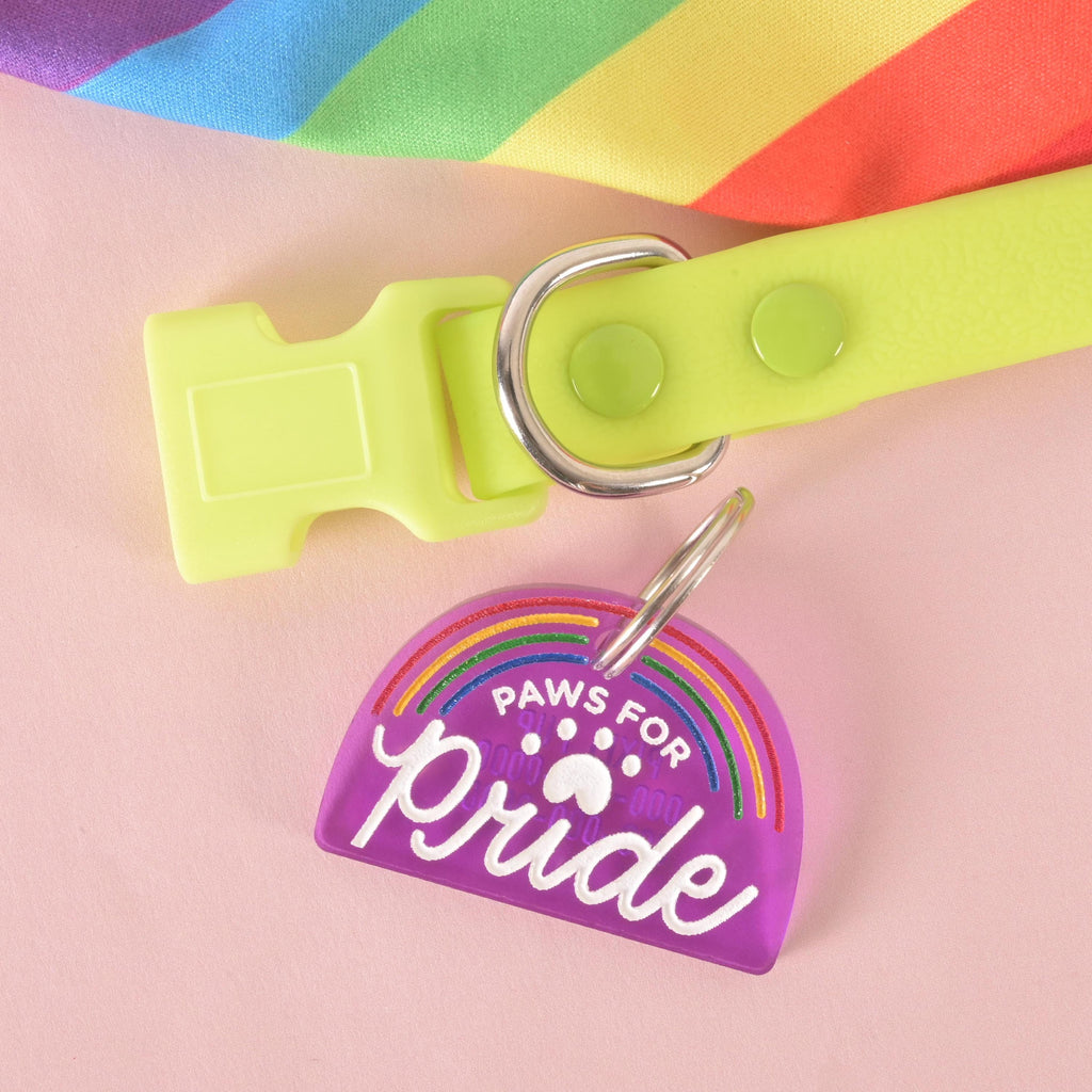 Purple acrylic pet ID tag with rainbow design and text “Paws for Pride,” attached to a lime green pet collar, with a rainbow flag in the background. LGBTQ+ Pride dog and cat accessory.