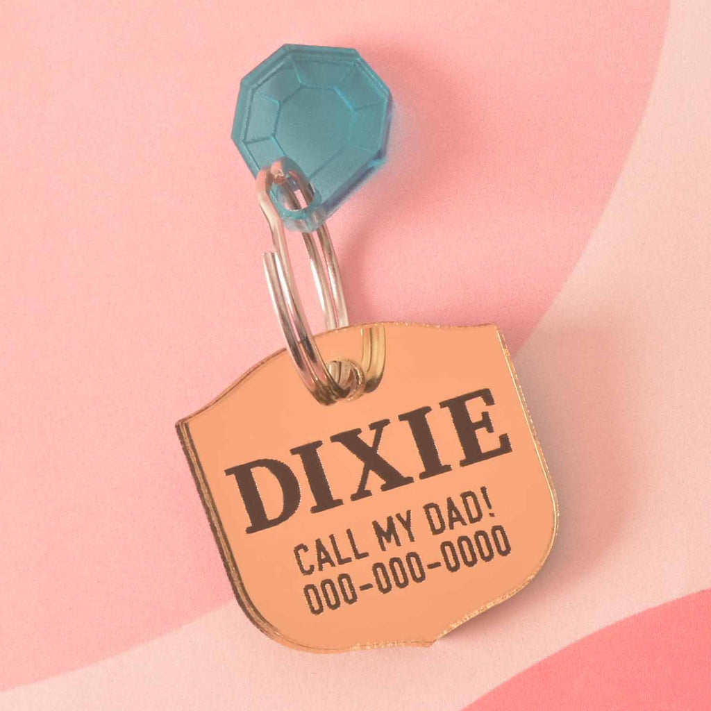 A personalized gold shield-shaped pet tag with the name "DIXIE" and a placeholder phone number. The tag has a small, translucent blue diamond charm attached. Both are connected to a silver ring, perfect for a collar, and are displayed on a light pink background with a wavy design.