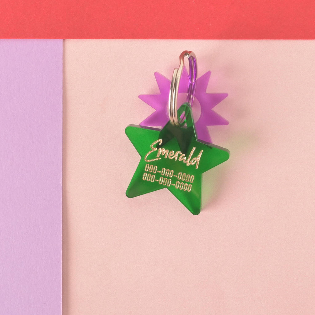 A personalized green star-shaped pet tag with the name "Emerald" and a placeholder phone number on it. A purple starburst charm is attached behind the tag, along with a small wooden charm that says "EM & ME." All are connected to a silver ring for a collar and are displayed on a light pink, purple, and red background.