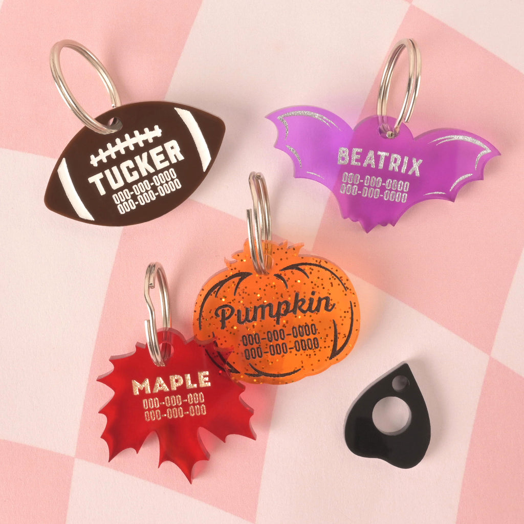 Colorful acrylic pet ID tags shaped like a football, bat, pumpkin, and maple leaf, customized with pet names for Halloween and fall.