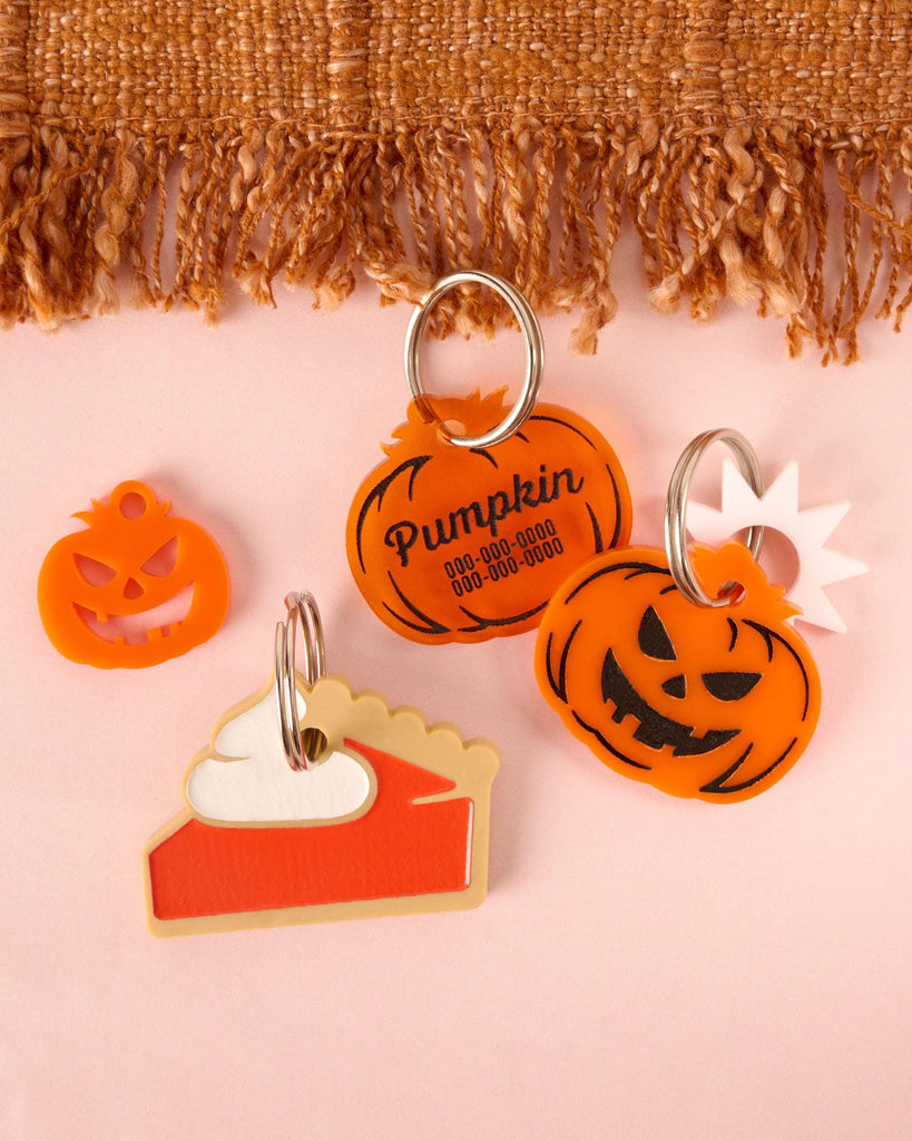 A collection of custom, personalized acrylic pet tags and charms: an engraved pumpkin tag, a jack-o'-lantern tag with a white starburst charm, a layered pie slice tag with whipped cream, and a small, unadorned jack-o'-lantern mini charm.
