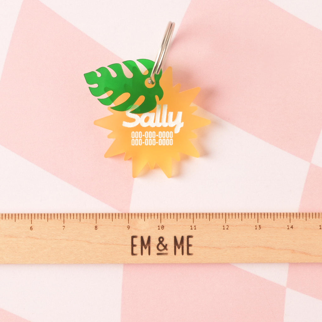 A personalized translucent yellow sunburst-shaped pet tag with the name "Sally" and a placeholder phone number on it. A green monstera leaf charm is attached. The tags are connected to a silver ring, perfect for a collar, and are displayed on a pink and white checkered background.