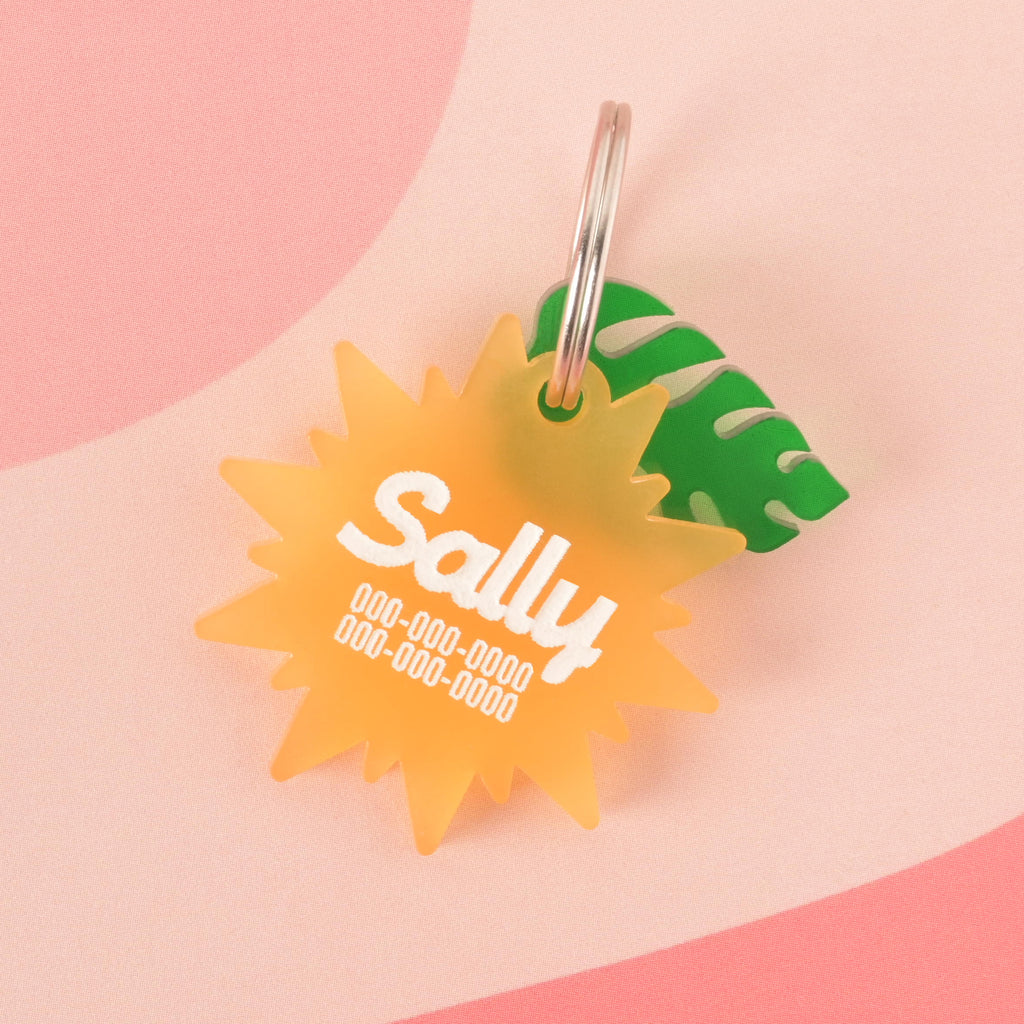 A personalized translucent yellow sunburst-shaped pet tag with the name "Sally" and a placeholder phone number on it. A green monstera leaf charm is attached. The tags are connected to a silver ring, perfect for a collar, and are displayed on a pink background with a wavy design.