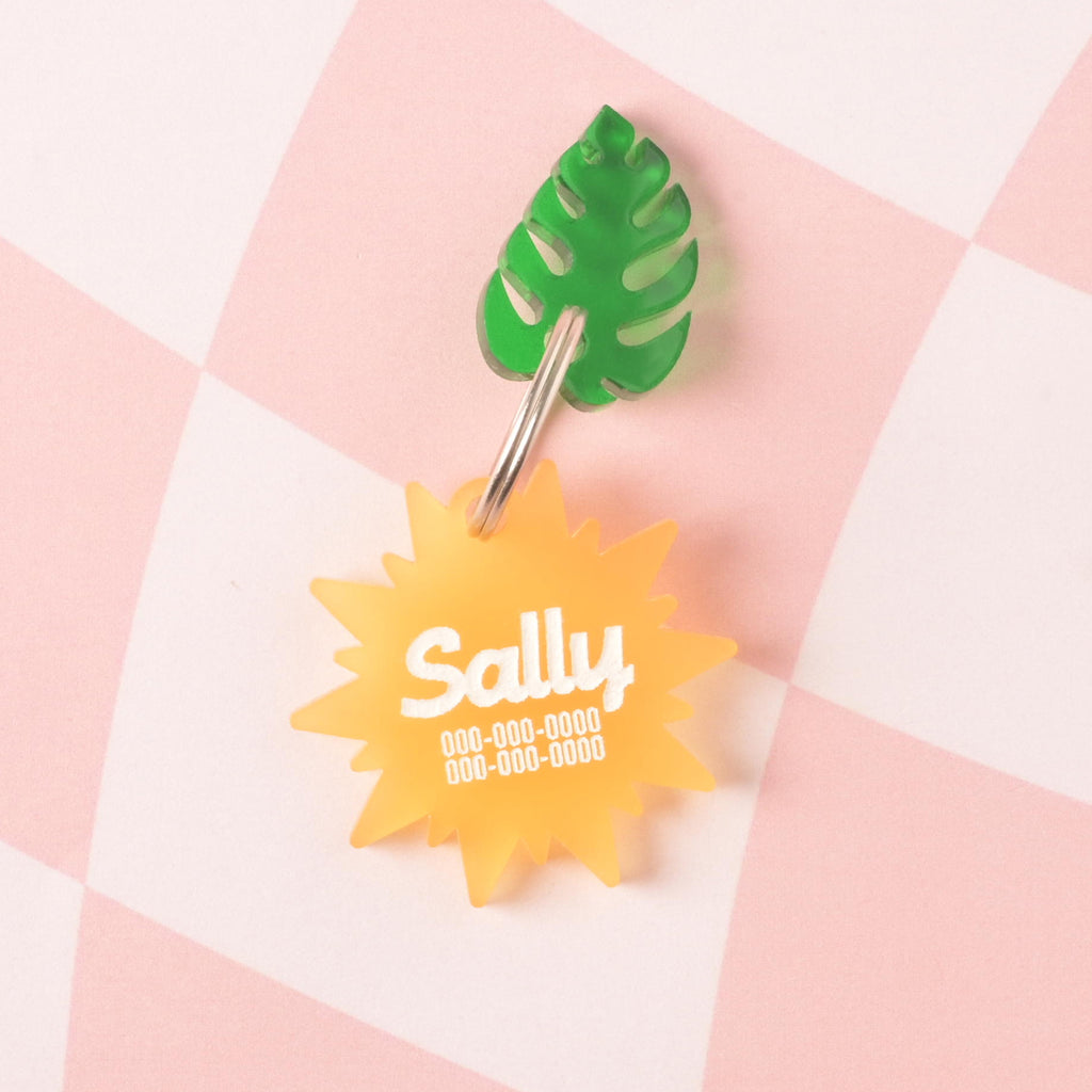 A personalized translucent yellow sunburst-shaped pet tag with the name "Sally" and a placeholder phone number on it. A green monstera leaf charm is attached. The tags are connected to a silver ring, perfect for a collar, and are displayed on a pink and white checkered background.