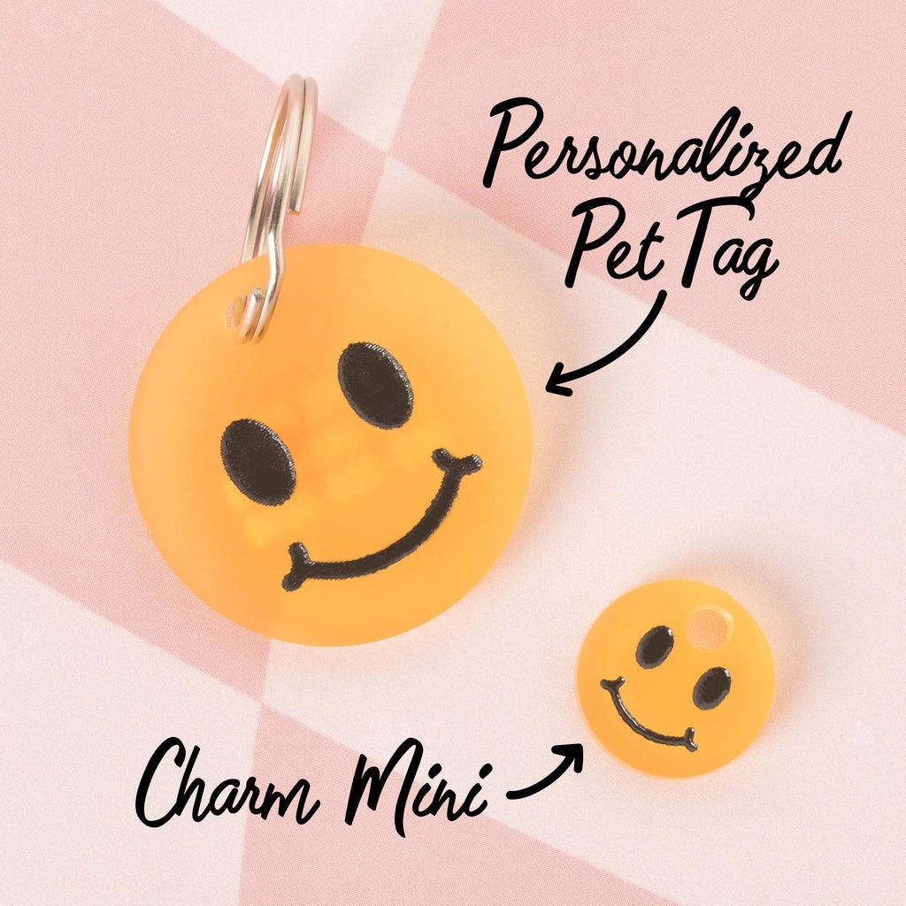A image showing a comparison of two smiley face pet tags. The larger, main tag is a "Personalized Pet Tag" with a silver keyring, and the smaller, charm-sized tag is a "Charm Mini." Both are orange with a black smiley face. The tags are displayed on a pink and white checkered background.
