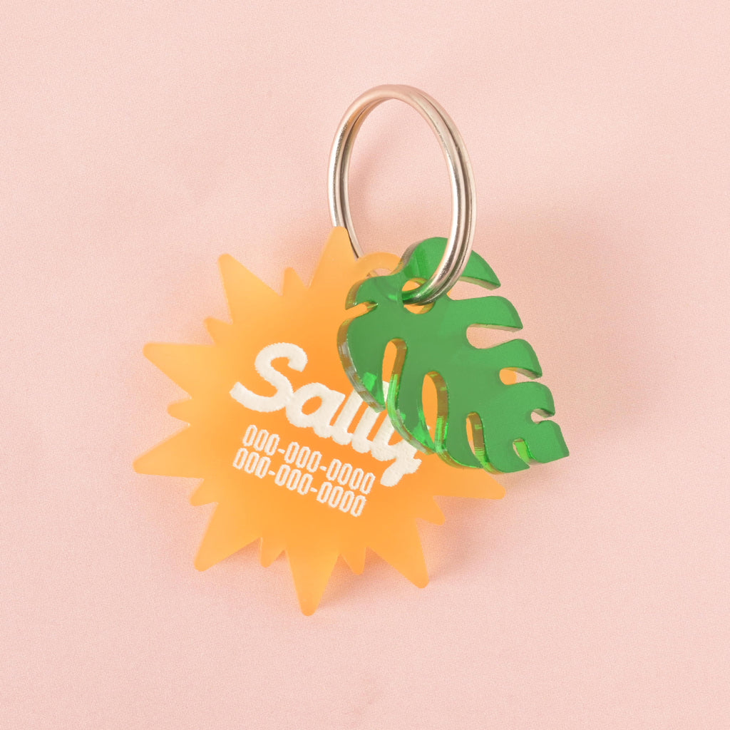A personalized, yellow sunburst-shaped pet tag with the name "Sally" and a placeholder phone number. The tag has a small green monstera leaf charm attached. Both are connected to a silver ring, perfect for a collar. The items are shown on a light pink background.