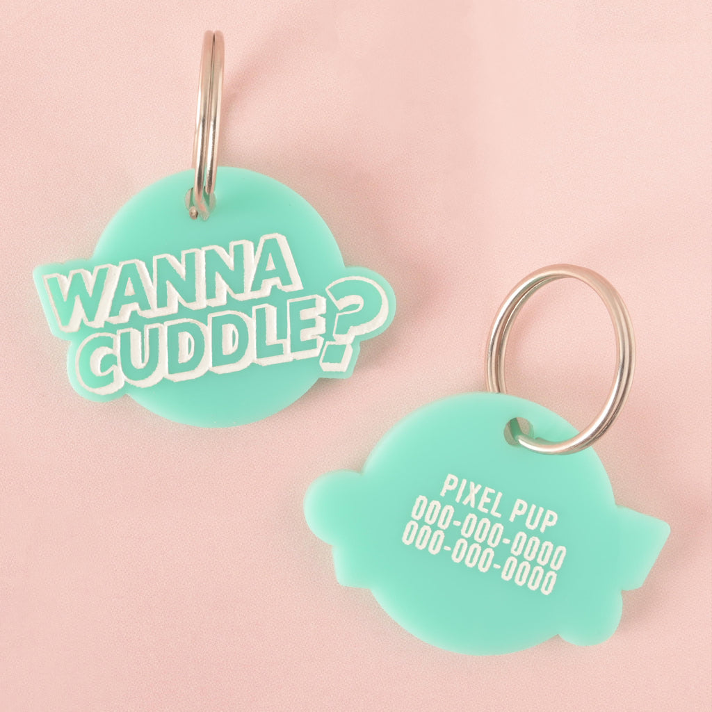 A pair of personalized aqua-colored pet tags. The front of one tag says "WANNA CUDDLE?" in white letters, while the back of the other has a placeholder for a pet's name, "PIXEL PUP," and a phone number. Both tags are attached to a silver ring for a collar and are displayed on a light pink background.