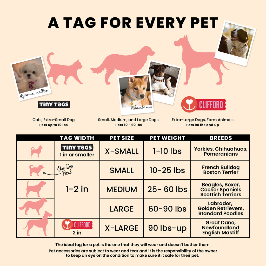 An informational chart titled "A Tag for Every Pet" that provides sizing recommendations. The chart breaks down pet tag size (X-Small to X-Large) based on Pet Size, Pet Weight (1-10 lbs to 90 lbs-up), and example dog breeds (Yorkies, French Bulldogs, Labradors, Great Danes). It features silhouettes of different-sized animals and photos of real pets.