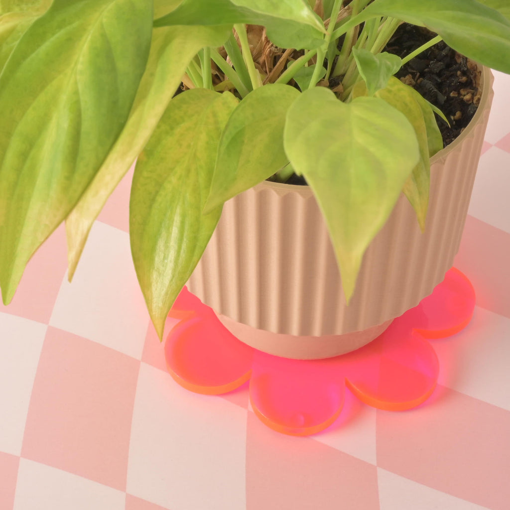A potted houseplant in a tan, ridged pot is sitting on a bright neon pink flower-shaped coaster. The background is a pink and white checkered pattern