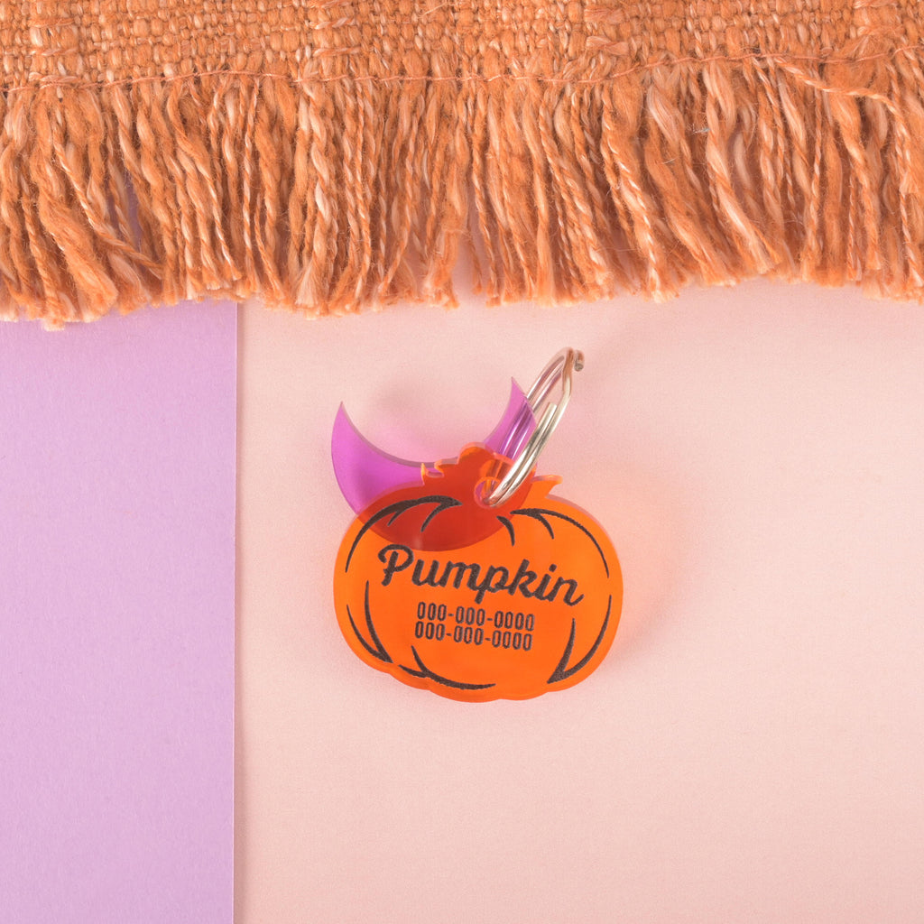 Transparent Orange pumpkin-shaped acrylic pet ID tag engraved with the name Pumpkin, perfect for Halloween dogs and cats