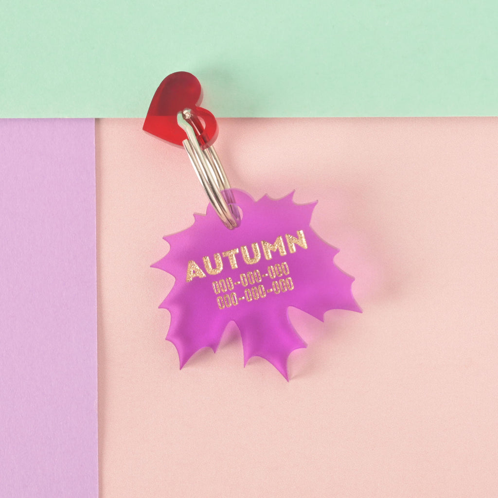 A personalized purple maple leaf-shaped pet tag with the name "AUTUMN" and a placeholder phone number on it. The tag has a small, transparent red heart charm attached. Both are connected to a silver ring for a collar and are displayed on a light pink, purple, and mint green background.