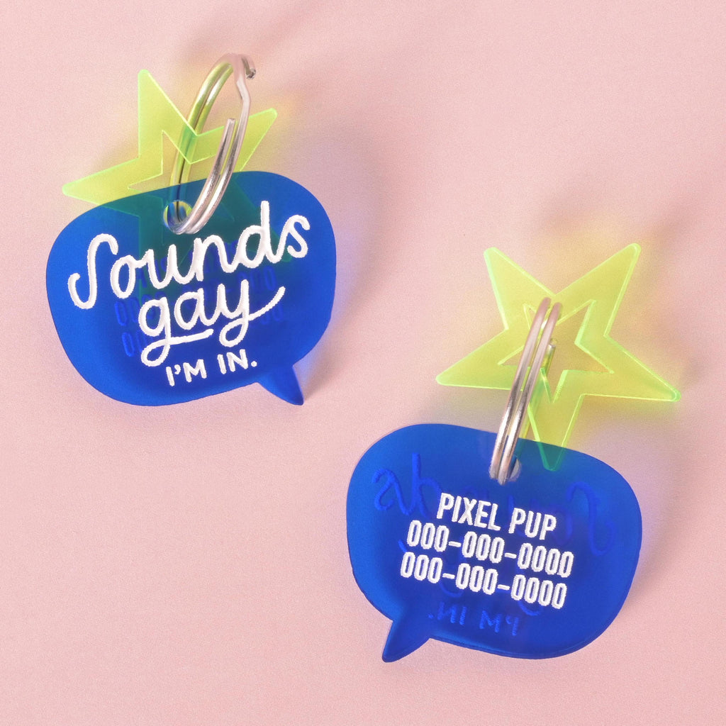 Two blue acrylic speech bubble dog tags with neon green star charms. One side reads “Sounds gay, I’m in” in white text, while the other side is engraved with custom pet ID information for Pixel Pup.