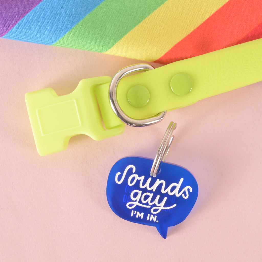 Blue acrylic speech bubble pet ID tag with the words “Sounds gay, I’m in” attached to a neon yellow dog collar, styled on a rainbow Pride background.