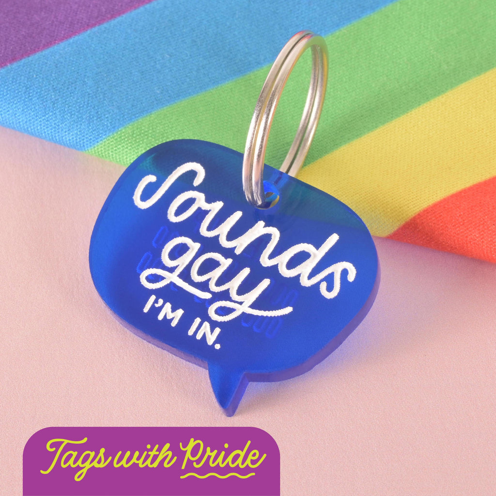 Blue acrylic dog tag shaped like a speech bubble with white text that reads “Sounds gay, I’m in,” placed on a rainbow flag background with a “Tags with Pride” label.
