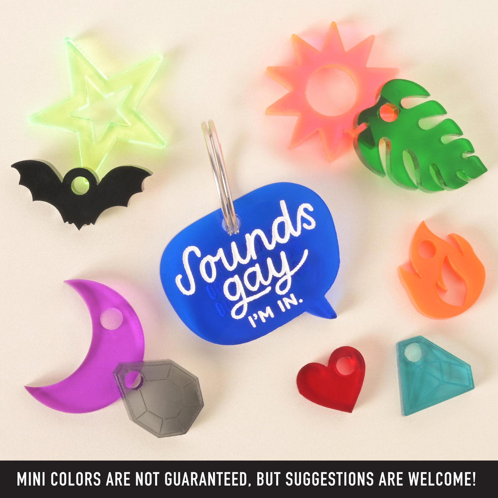 Blue acrylic speech bubble pet tag reading “Sounds gay, I’m in” surrounded by colorful mini acrylic charms in shapes like a bat, star, sun, leaf, heart, moon, gem, flame, and rainbow. Text below notes: mini colors not guaranteed.