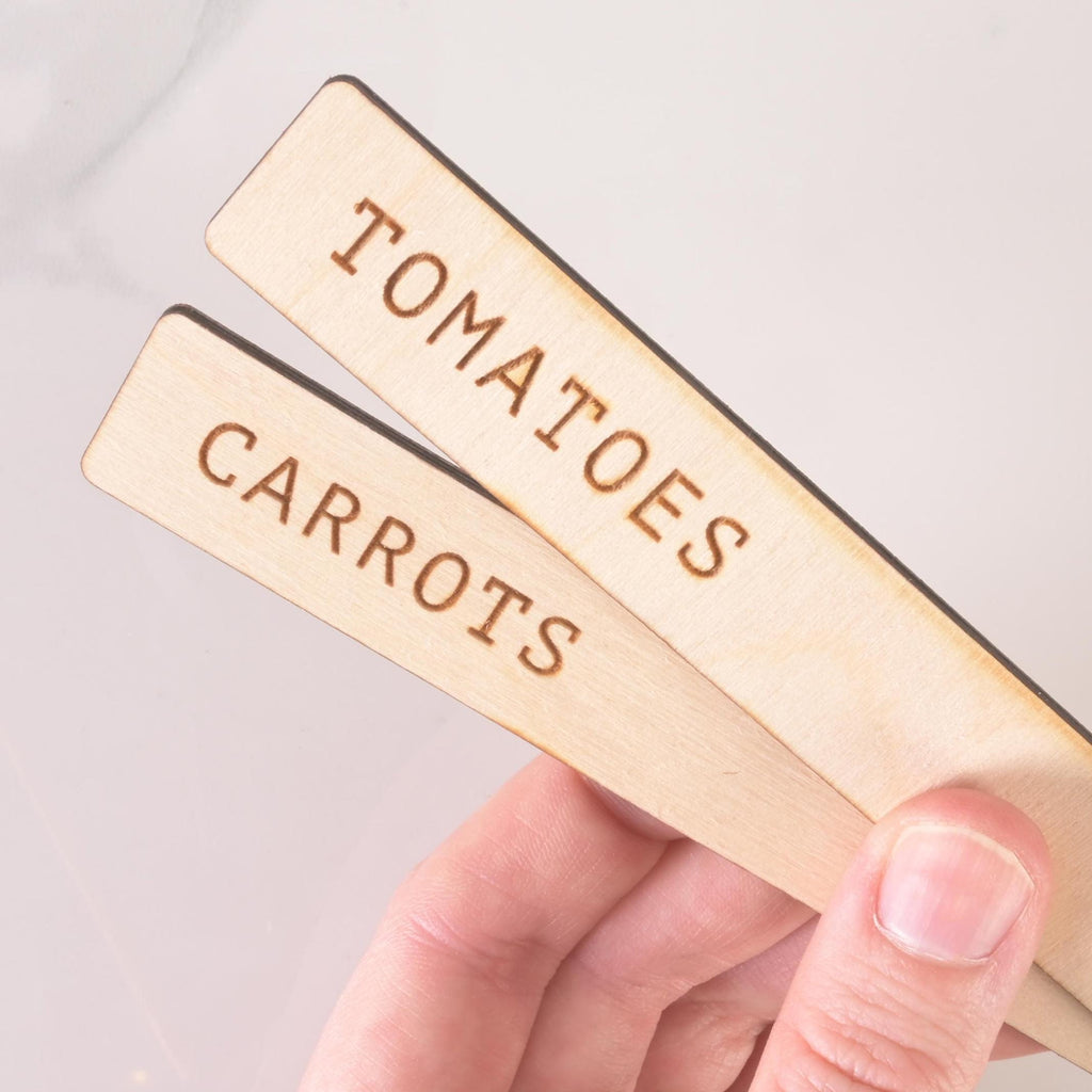 Close-up of two engraved wooden plant markers labeled Tomatoes and Carrots, held in hand against a light background.