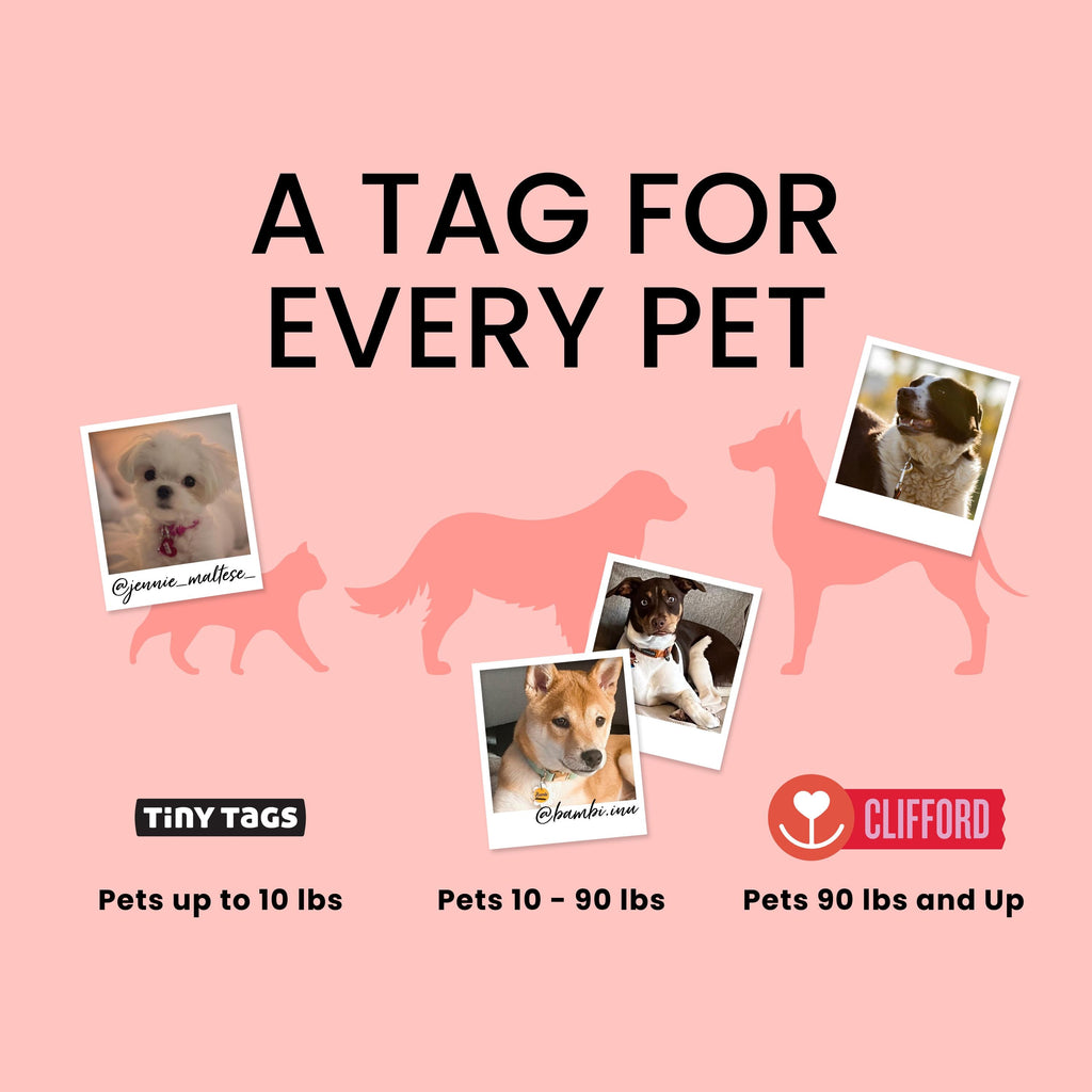 Gem Personalized Pet Tag – Tiny XS Name Tag for Cats & Small Dogs, Small Purple Gem Pet ID