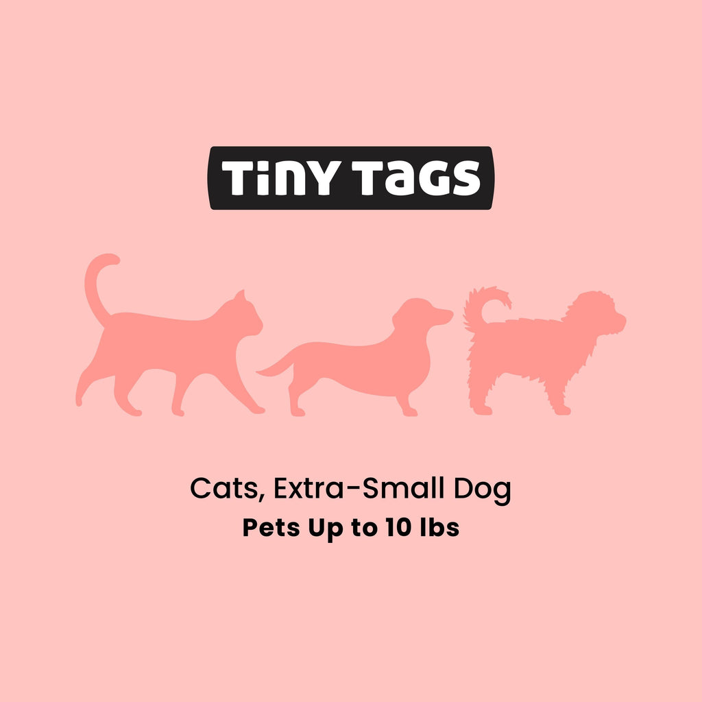 Gem Personalized Pet Tag – Tiny XS Name Tag for Cats & Small Dogs, Small Purple Gem Pet ID