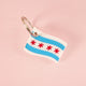 Chicago Flag Personalized Pet Tag