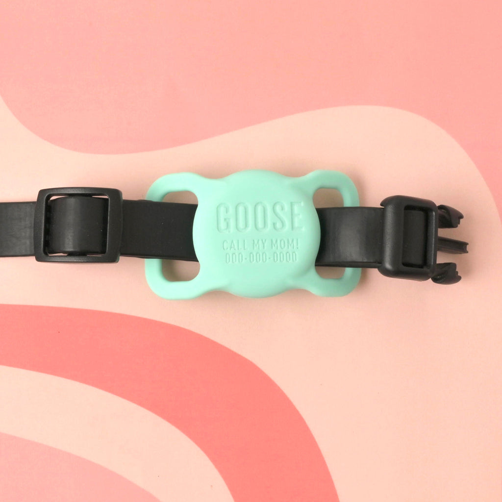 A custom, mint green, silent pet ID tag. The tag is engraved with the name "GOOSE," the phrase "CALL MY MOM!", and a phone number. It is shown slid onto a black pet collar with a black buckle. The collar is set against a light pink and reddish-brown wavy-patterned background.