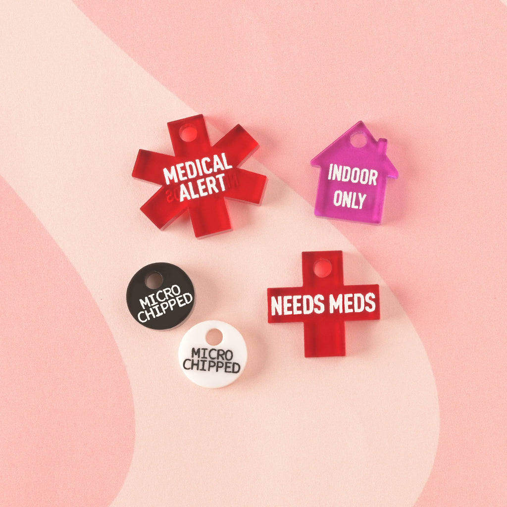 A collection of acrylic safety charms: a red Star of Life with "MEDICAL ALERT," a red cross with "NEEDS MEDS," a pink house with "INDOOR ONLY," and two microchipped circular tags (one black, one white).