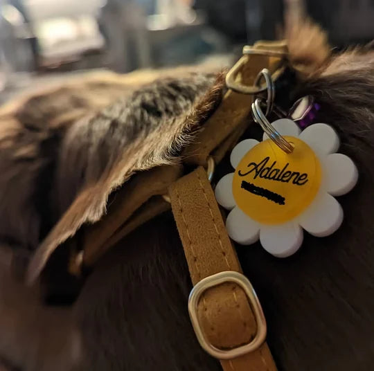 A white daisy-shaped pet ID tag with a yellow center labeled "Adalene" is attached to a tan leather collar worn by a fluffy dark brown dog. The tag hangs alongside a purple accessory.