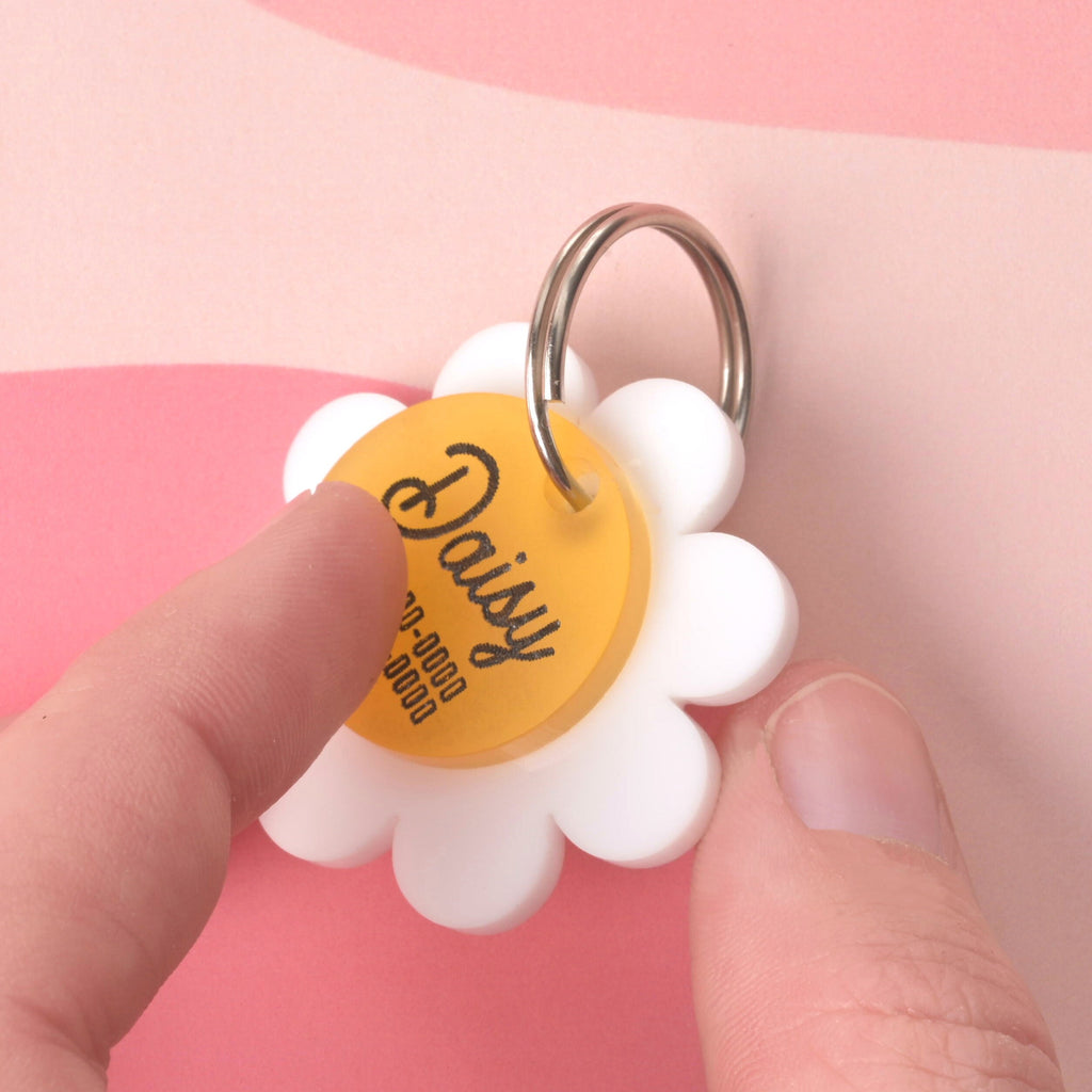 Close-up of a person's fingers holding a daisy-shaped white pet ID tag with a yellow center engraved with the name "Daisy" and placeholder phone numbers, against a pink background