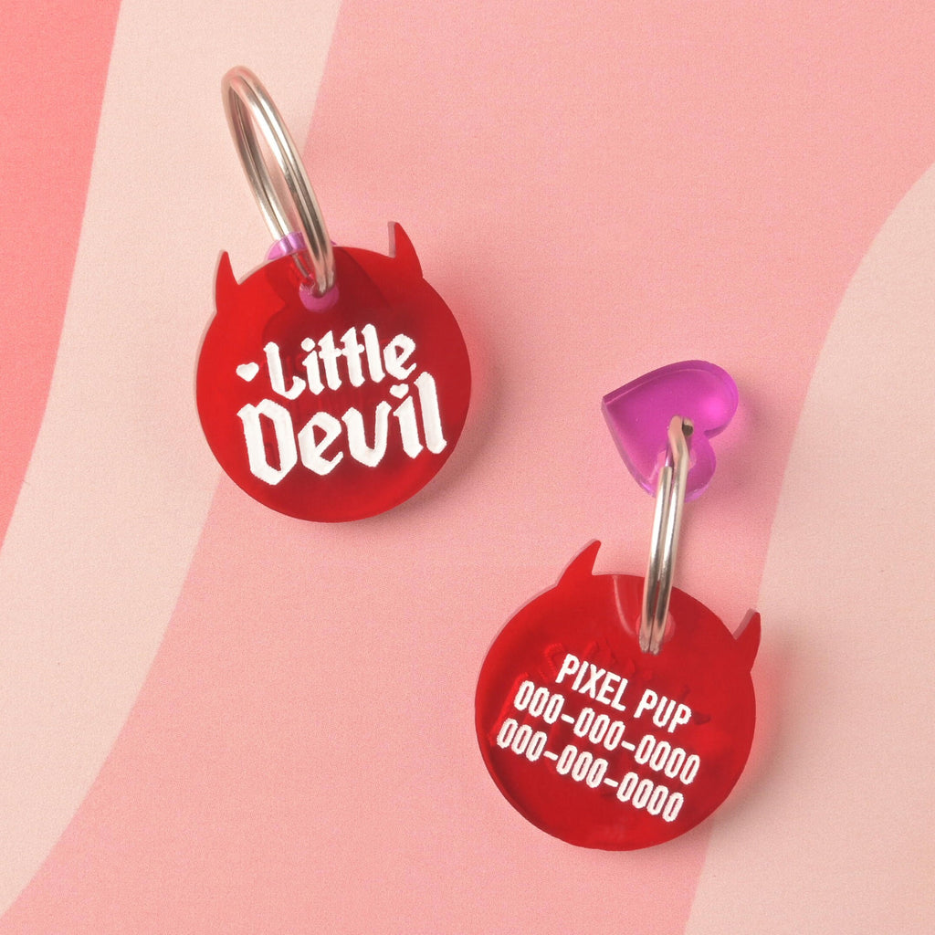 "Little Devil" Red Pet Tag front and back shown with placeholder name and phone numbers on wavy pink background
