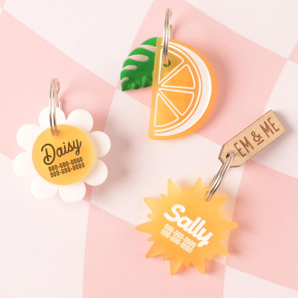 A collection of three personalized acrylic pet ID tags: a yellow and white daisy flower tag for 'Daisy,' an orange slice tag with a green tropical leaf charm, and a yellow sunburst tag for 'Sally.' A small wooden 'EM & ME' branded tag is also included.